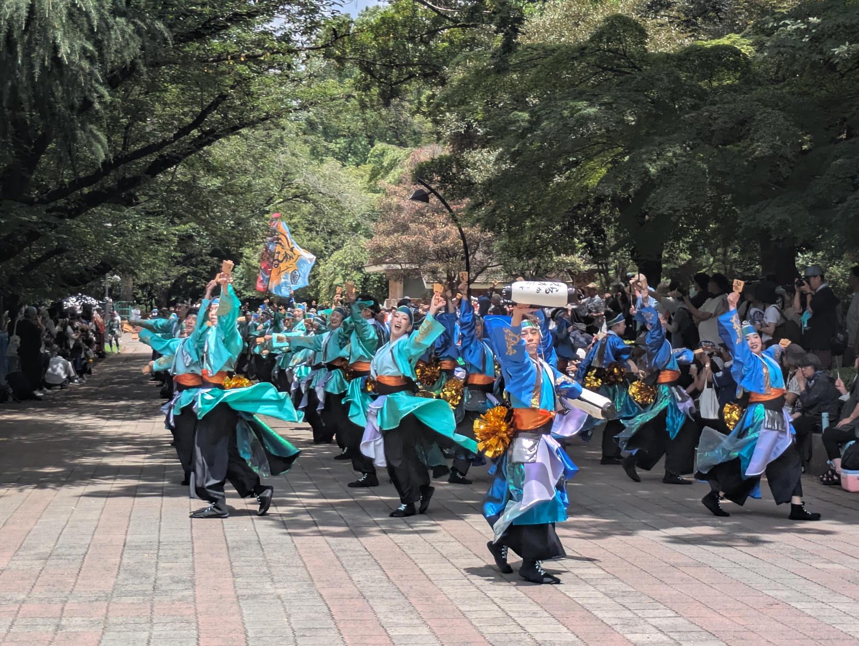 メディア (22)